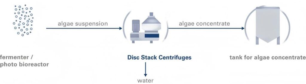 Algae Harvesting-1